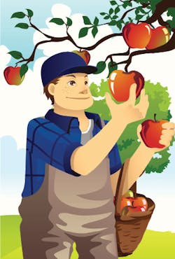 Ewweb Com Sites Ewweb com Files Uploads 2014 09 409ew Branches2 310 Ewweb Com Sites Ewweb com Files Uploads 2014 09 409ew Branches2 310