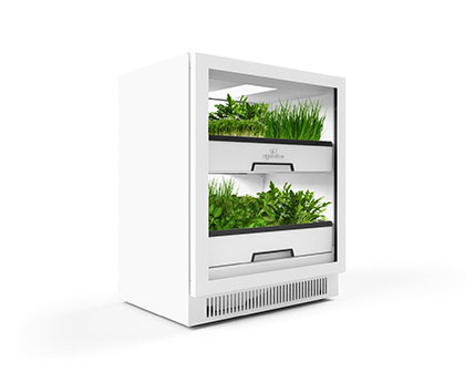 Ewweb Com Sites Electricalmarketing com Files Uploads 2017 05 18 Osram Agrilution Gewaechsschrank 3 Sm