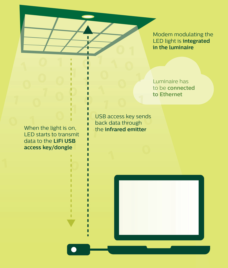 Www Ewweb Com Sites Ewweb com Files Lifi Infographic 0219 1