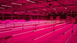 PhilpsLightingColoradoState PhilpsLightingColoradoState