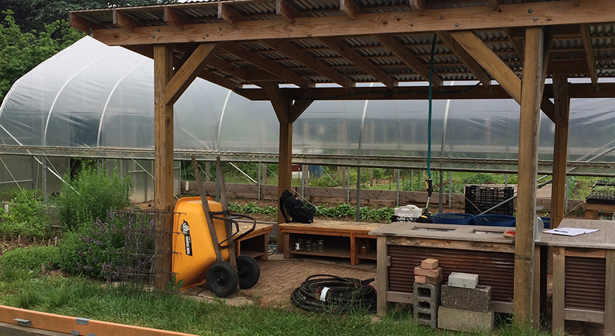 Rutgers_Student_Farm_Warshauer878