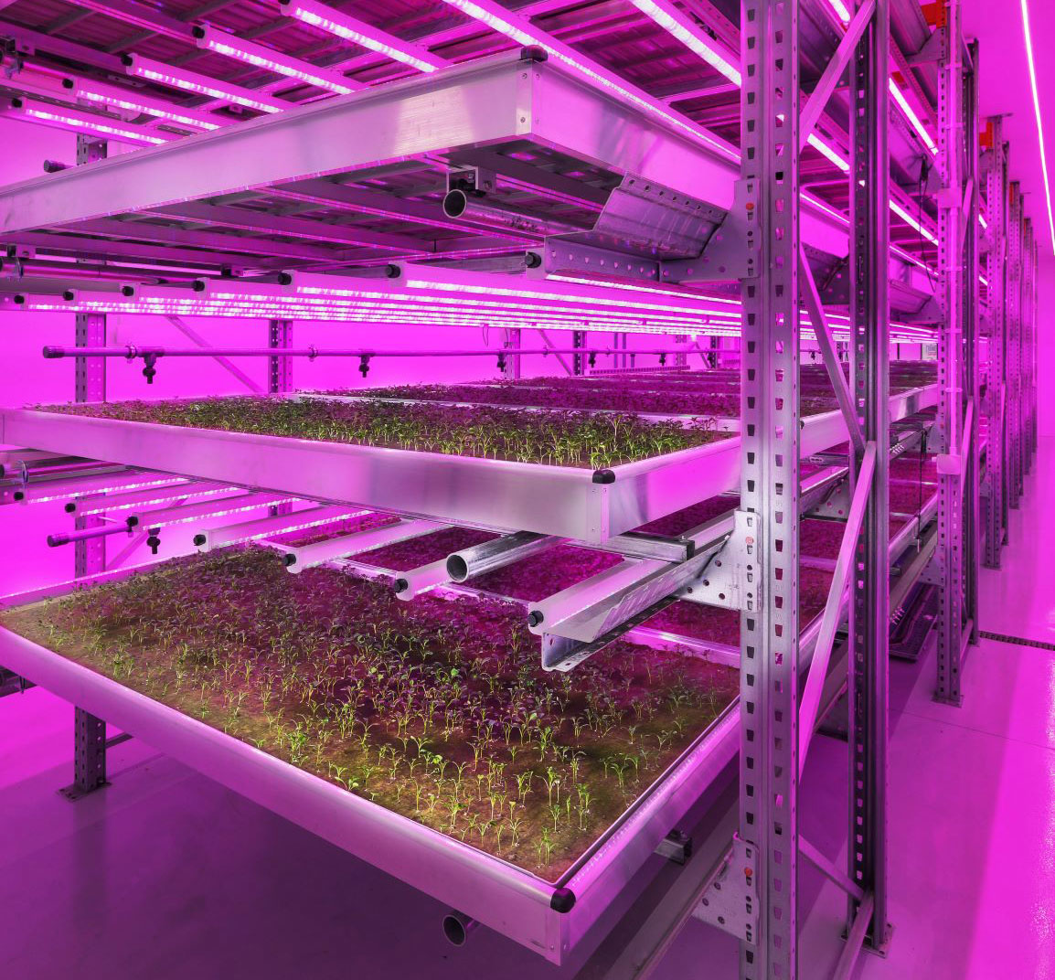 Stockbridge Technology Centre lighting