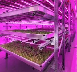 Stockbridge Technology Centre lighting Stockbridge Technology Centre lighting