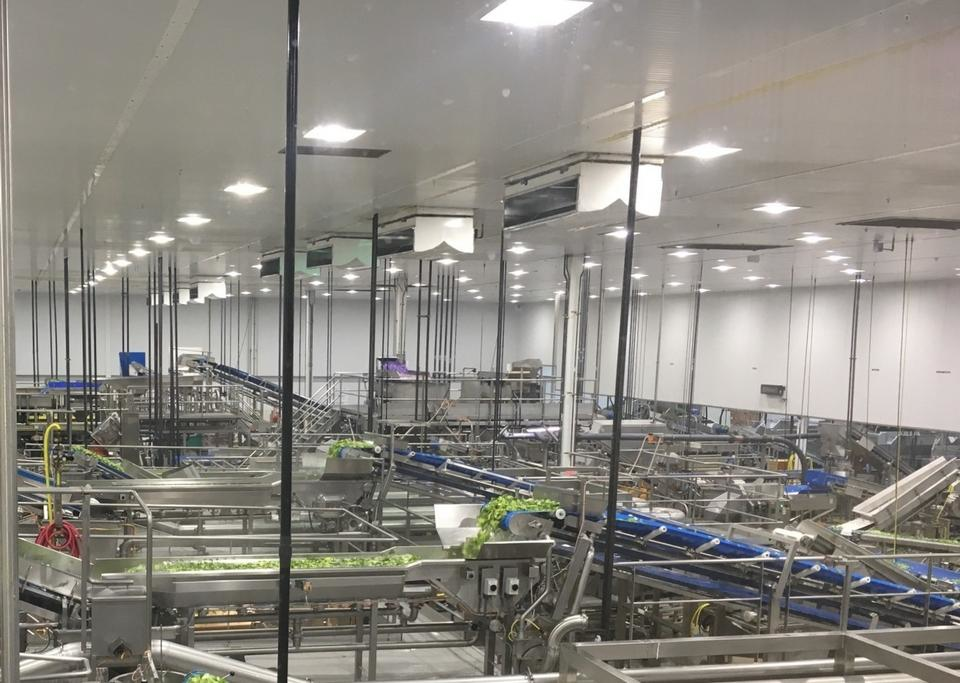 Dole Bessemer City packaging plant with fresh lighting