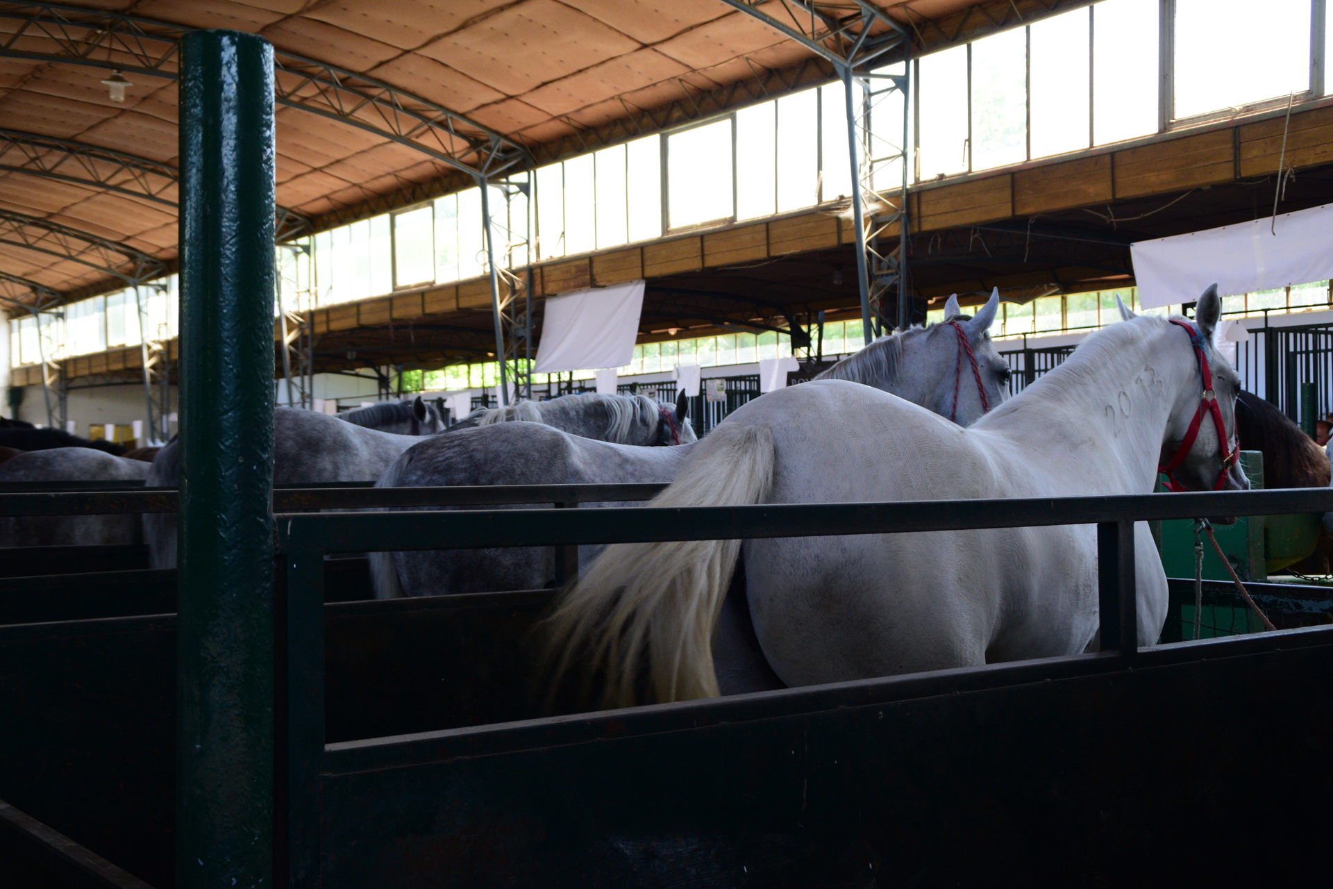 Dreamstime L 159964485 5f15fd706b3e5