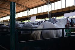 Dreamstime L 159964485 5f15fd706b3e5 Dreamstime L 159964485 5f15fd706b3e5