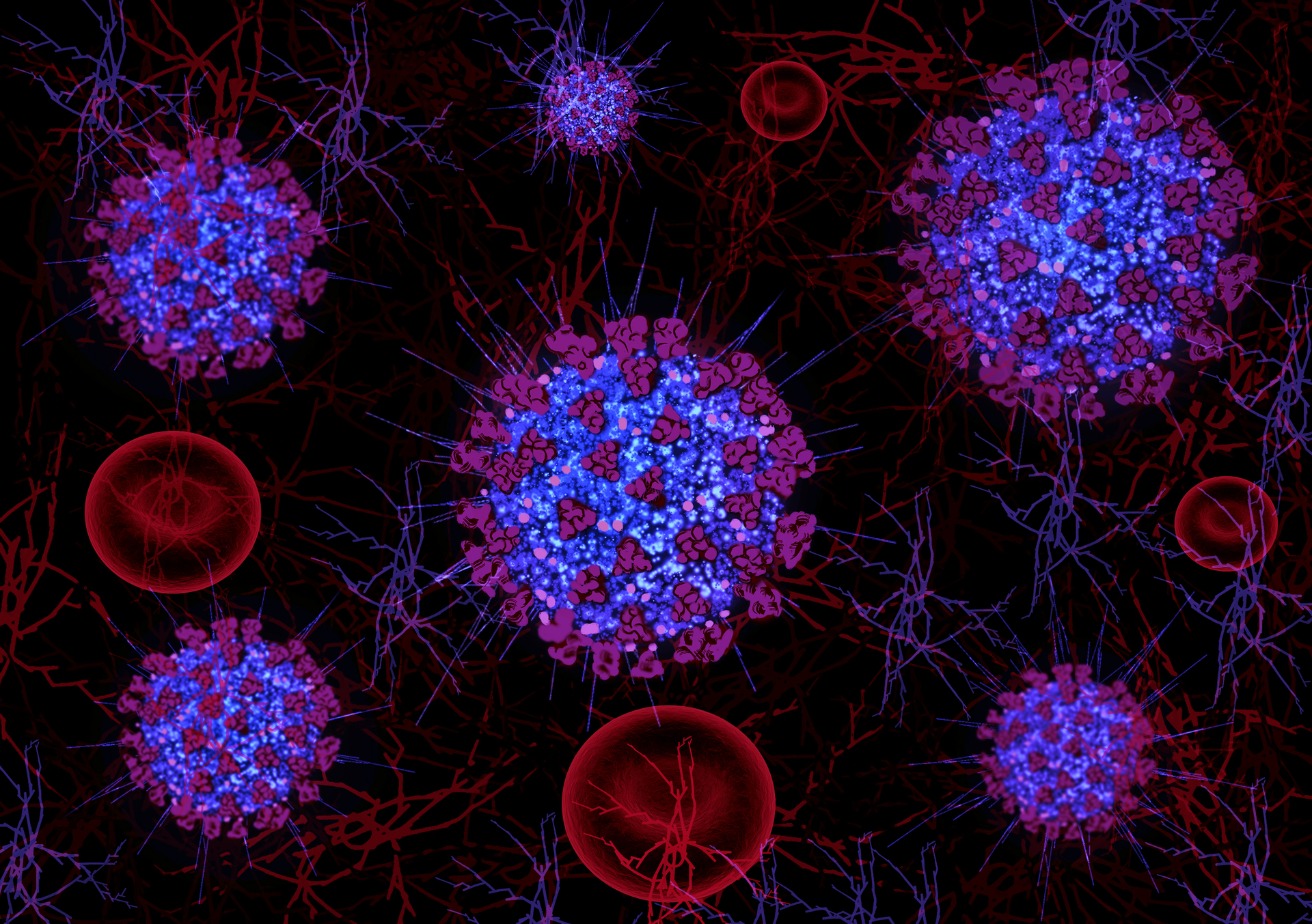 Dreamstime M 176794207 5f3ad910469d2