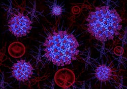 Dreamstime M 176794207 5f3ad910469d2 Dreamstime M 176794207 5f3ad910469d2