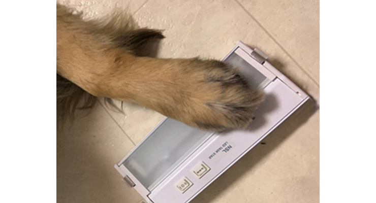 Moxie Nsl Partnership 5faec8ff27818