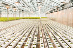 Dreamstime M 147200218 5fc553822030c Dreamstime M 147200218 5fc553822030c