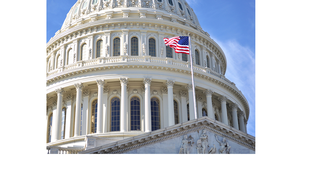 Capitol Hill Dome Dreamstime Svletlana Foote