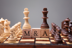 Mergers Getty Images 1029427612 Getty Images Andrey Popov Frost