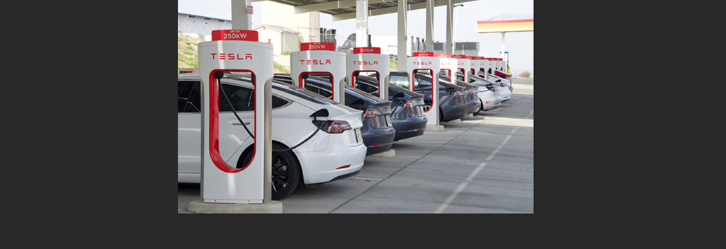 &copy; Sheila Fitzgerald / Dreamstime