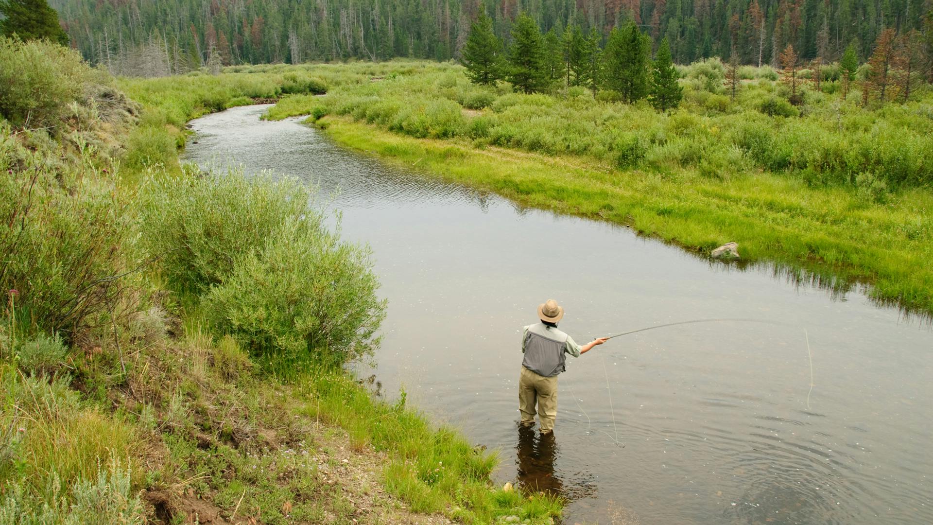 6644f4149a493910cadb734c Trout Fishing Photo 13399579 Braden Gunem Dreamst