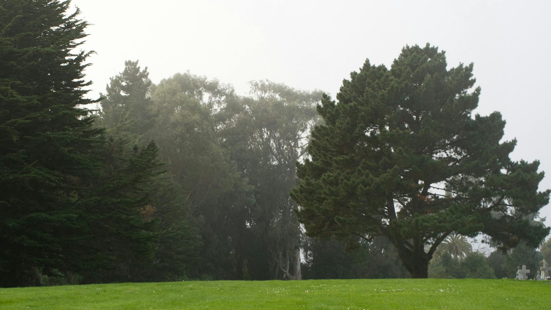 obituary_photo_57640139__edenmanusphotography_drea