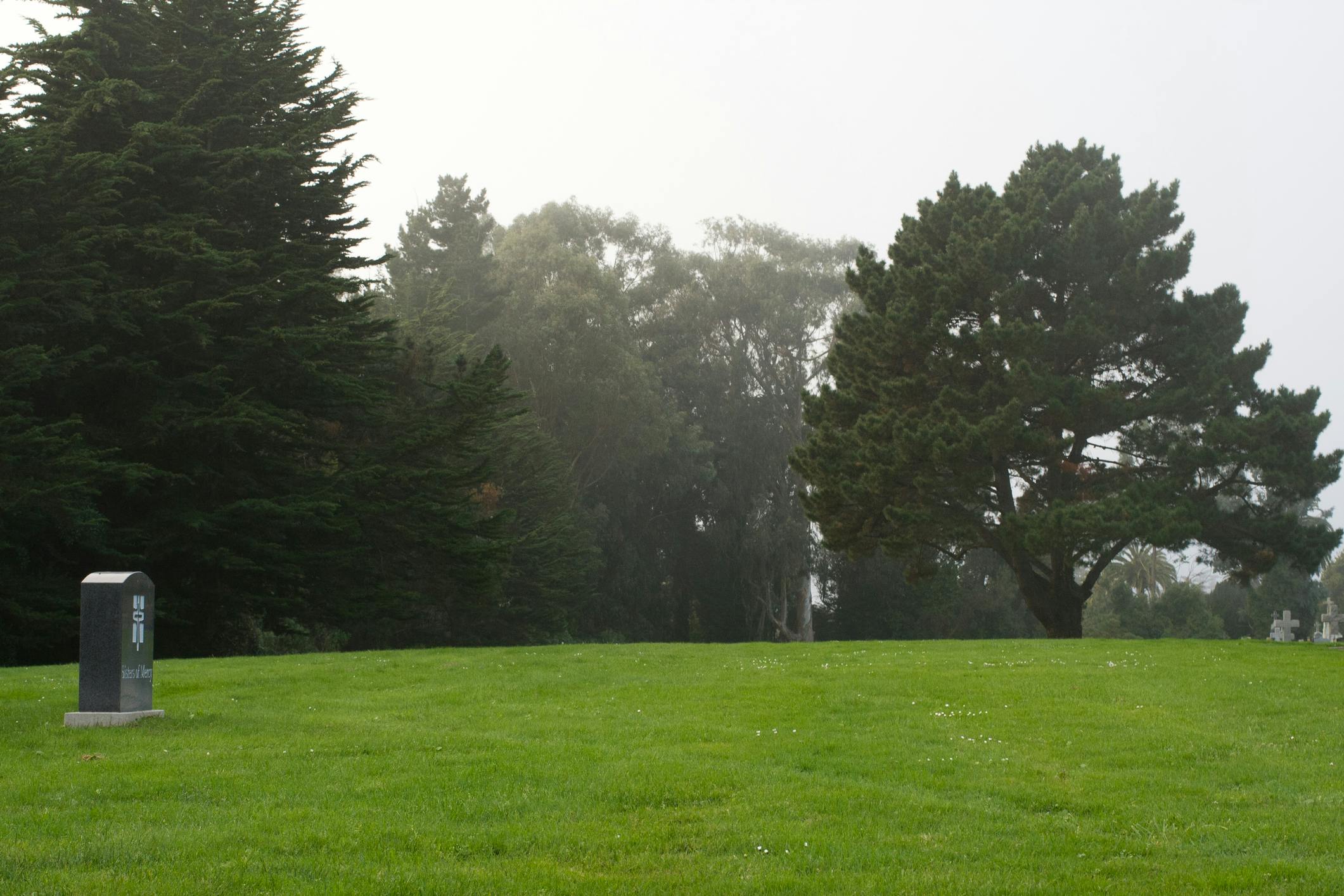 Stanion Wholesale Electric