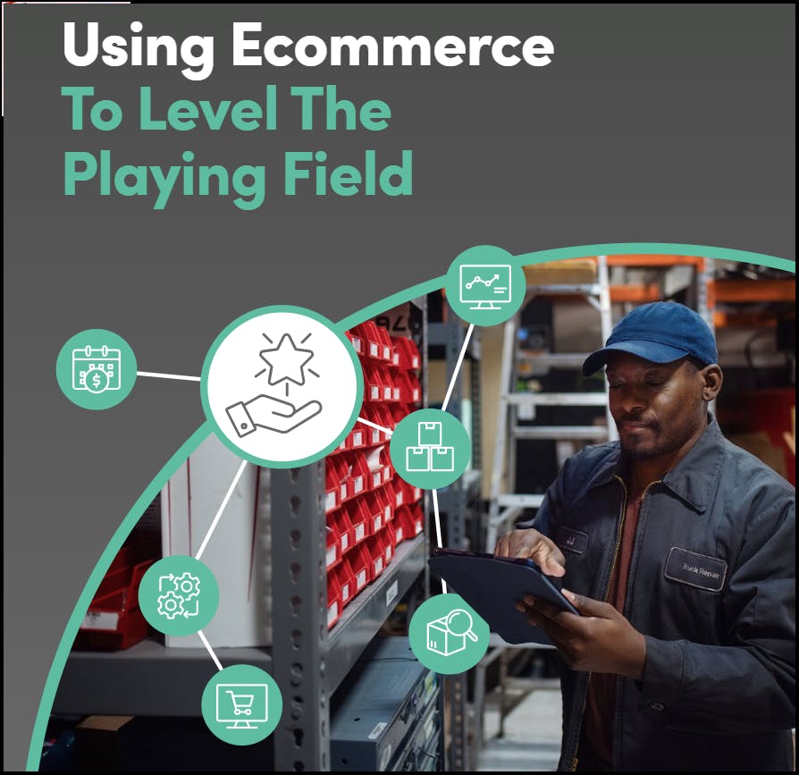 using_ecommerce_to_level_the_playing_field